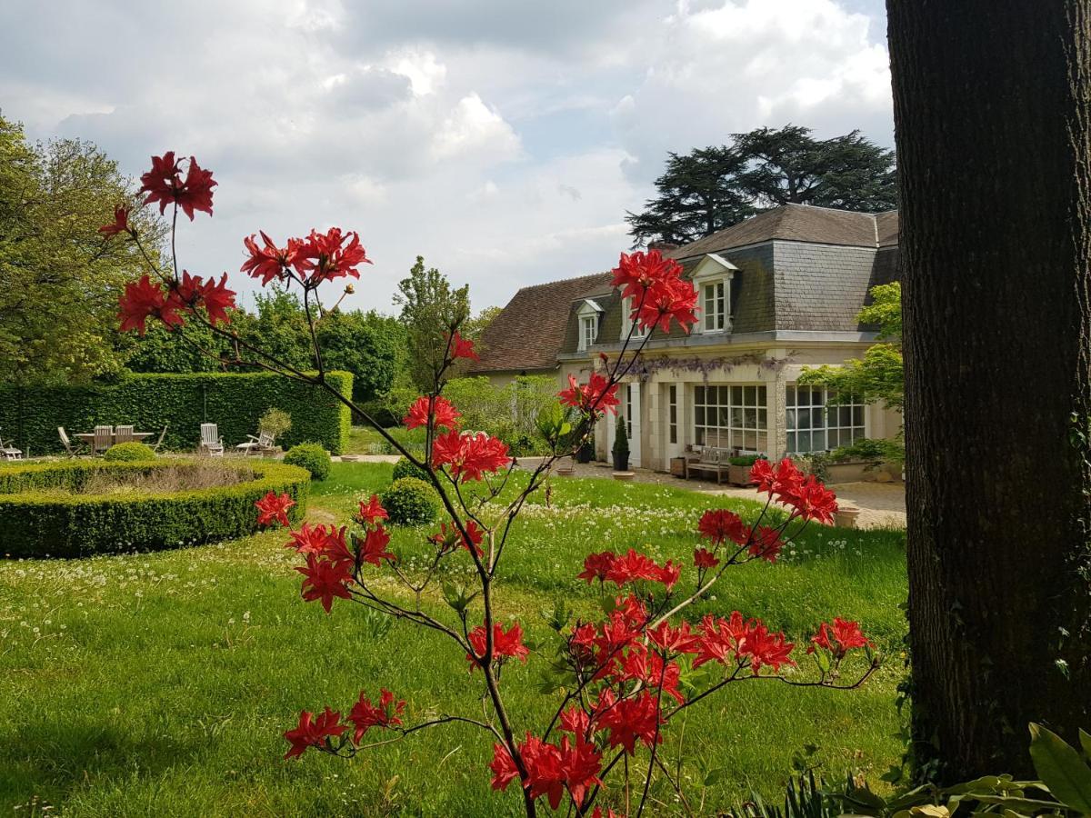 La Taille De Biou Bed and Breakfast Huisseau-sur-Cosson Buitenkant foto