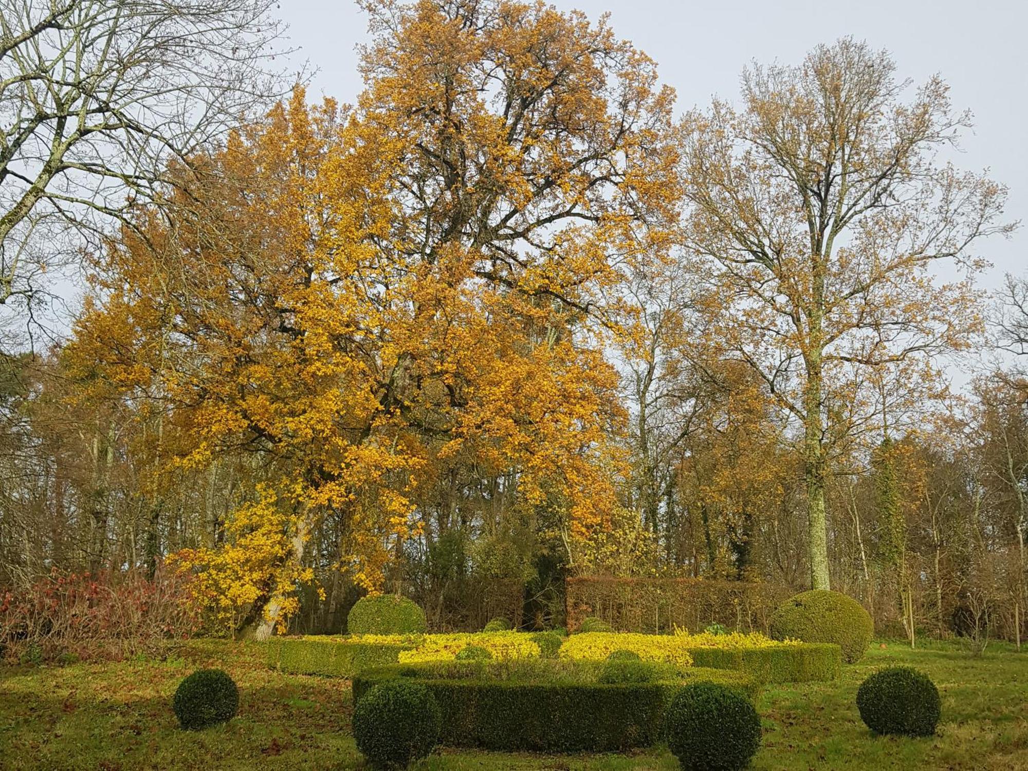 La Taille De Biou Bed and Breakfast Huisseau-sur-Cosson Buitenkant foto